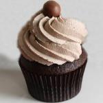 Chocolate Malt