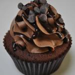 Chocolate Chocolate Chip